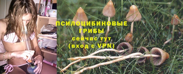 мет Верея