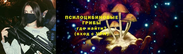 твердый Володарск