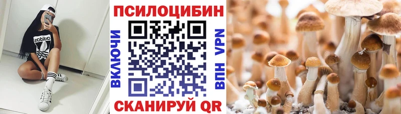 Галлюциногенные грибы Magic Shrooms  сколько стоит  Называевск 
